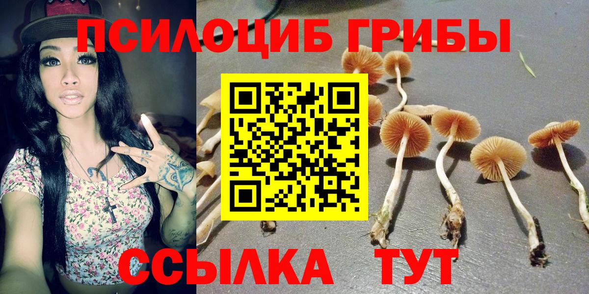 Псилоцибиновые грибы прущие грибы Чусовой