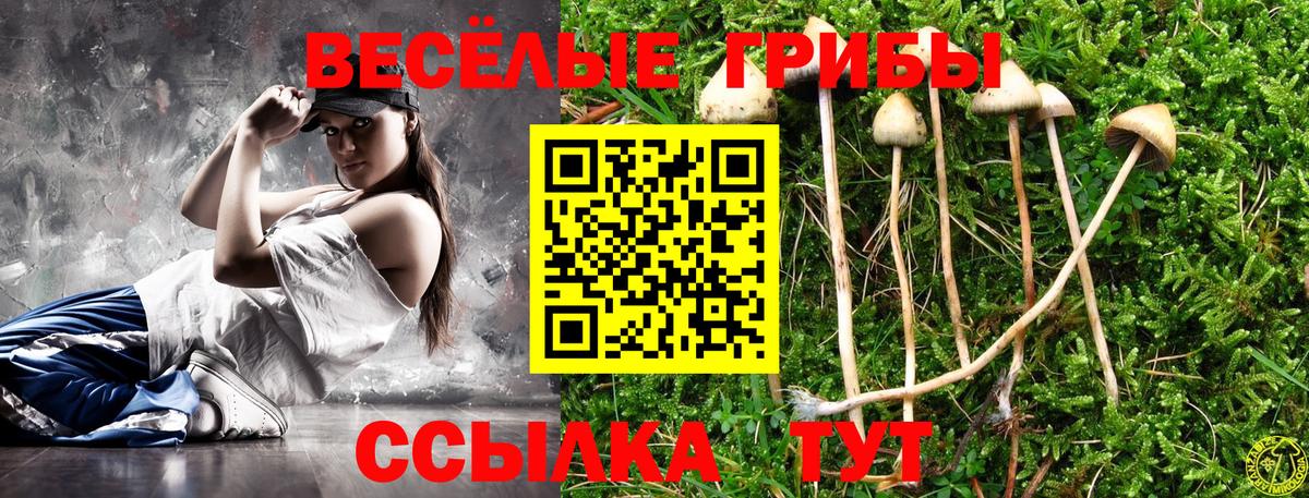 Чусовой  Галлюциногенные грибы Psilocybe  Вход с VPN  Псилоцибиновые грибы ЛСД 